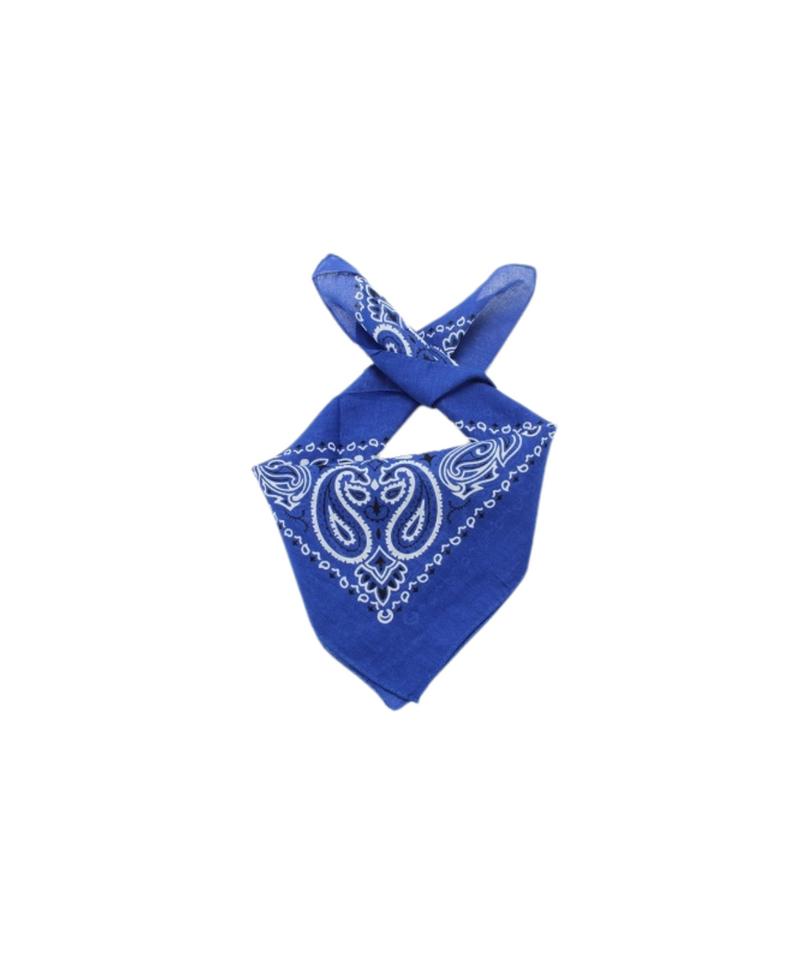 BLUE PRINTED BANDANA